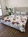 Плюшевый плед (Турецкое покрывало) Цветы &ndash; Микрофибра, Размер: Евро, полуторный 127193 фото 2